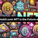 Why Ecryptobit.com NFT Is the Future of Assets